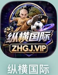 纵横国际
